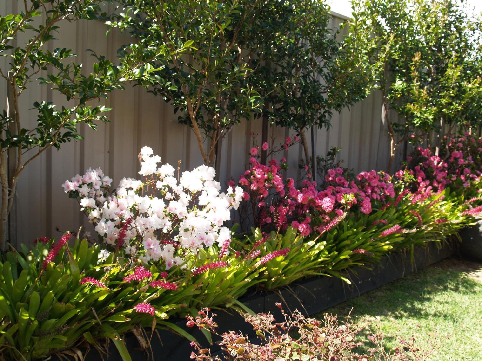 Pigeon House Motor Inn Ulladulla Esterno foto
